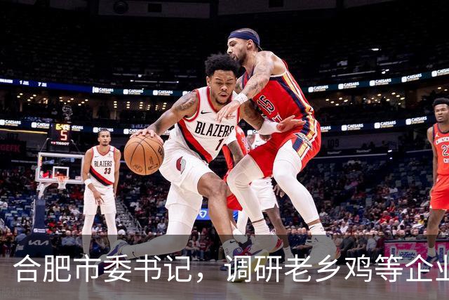 合肥市委书记，调研老乡鸡等企业